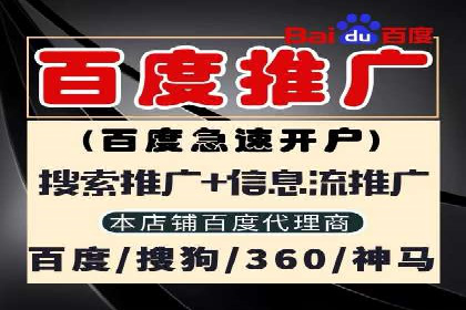 某某sem推广公司在某行业的应用与效果分析